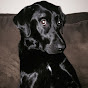 Profile Picture of Jason Wilson (@@jaysalcyn) on Tiktok
