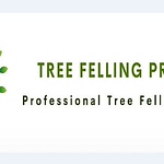 Profile Picture of Tree Felling Pretoria (@treefellingpretoriagauteng94) on Flickr