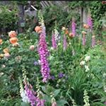 Profile Picture of Hugh Patterson (@hughdpatterson) on Instagram