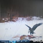 Profile Picture of Gary Casale (@gary.casale.5) on Facebook