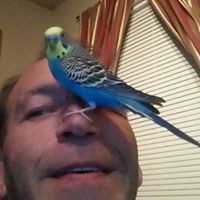 Profile Picture of James Mackie Chandler (@james-mackie-chandler) on Quora