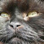 Profile Picture of David de Groot (@david.degroot.94064) on Instagram
