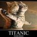 Profile Picture of Cindy Kellett (@bentley111) on Pinterest