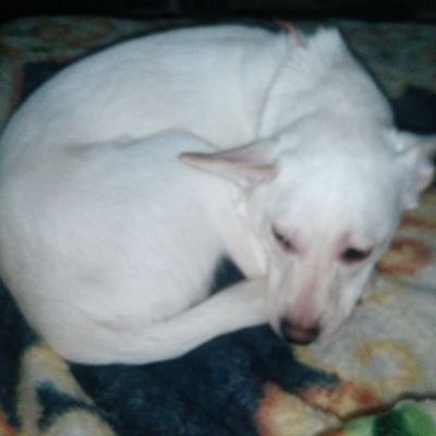 Profile Picture of Dominique Duval Wolf (@Dominiq75012402) on Twitter