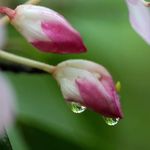 Profile Picture of Robin Mosher (@tngirl0315) on Instagram