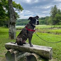 Profile Picture of Bob Butcher (@bob-butcher-25) on Quora