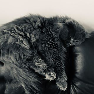 Profile Picture of Michael Beagles (@michael.beagles.9) on Facebook