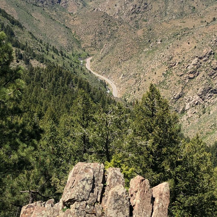 Profile Picture of Andrew Repine (@andrewrepine) on Tiktok