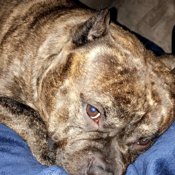 Profile Picture of Alex Zuno (@zuno96) on Poshmark