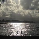 Profile Picture of Sean Tilton (@tiltonsean) on Instagram