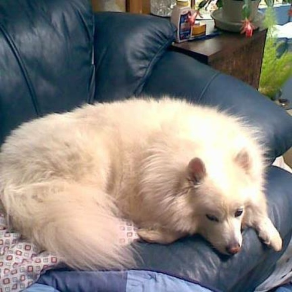 Profile Picture of James Hedrick (@geologyman) on Poshmark