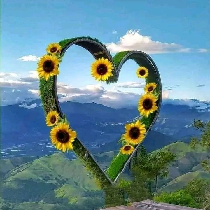 Profile Picture of anwar yusuf (@user9334807688728) on Tiktok