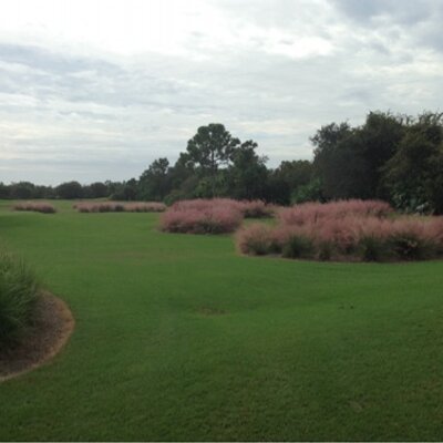 Profile Picture of Paul Karp (@pkarp2) on Twitter