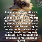 Profile Picture of Lupe Torres (@guadalupetorres3390) on Instagram