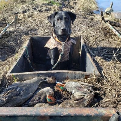 Mike Tooker - Twitter Profile Picture of Mike Tooker (@TookerMike) on Twitter