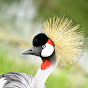 Profile Picture of Scott Chalmers (@@ChalmersPhoto) on Tiktok