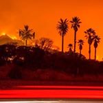 Profile Picture of James Hinchcliffe (@jamesshinchcliffe) on Instagram