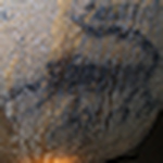 Profile Picture of berry thompson (@Berry Thompson) on Flickr