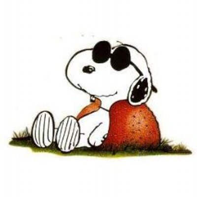 Profile Picture of Nancy Myer (@NancyMyer1) on Twitter
