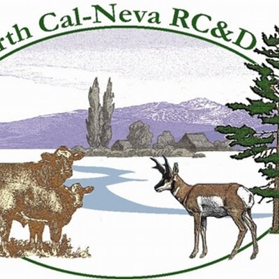 Profile Picture of Stacey Hafen (@NorthCalNevaRCD) on Twitter