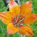 Profile Picture of Chetan Murthy (@chetan.murthy.397) on Facebook