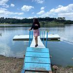 Profile Picture of Fénix 🌻 (@lizeth__gonzalez_) on Instagram