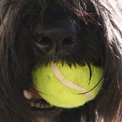 Profile Picture of Karl Kirsch (@KirschKarl) on Twitter