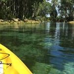 Profile Picture of Michelle Millikan Edwards (@michellemillikanedwards) on Instagram