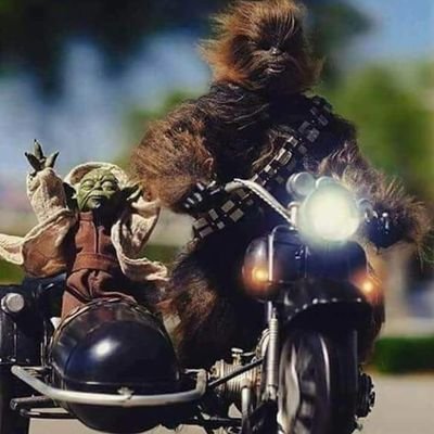 Profile Picture of Michael Currin (@MichaelCurrin11) on Twitter