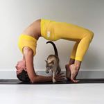 jeffrey kwong - Instagram Profile Picture of jeffrey kwong (@jeffrey__kwong__902) on Instagram