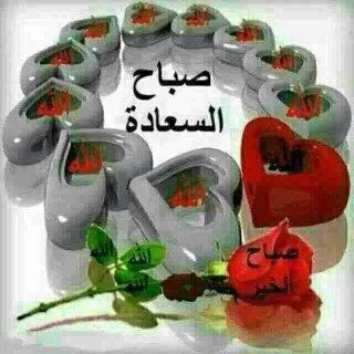 Profile Picture of Amal (@AmaldibAmal) on Twitter