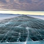 Profile Picture of Rae Holt (@ravenbranches) on Instagram