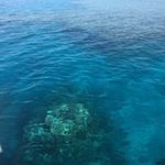 Profile Picture of Hubba Bubba (@daniel.stossi.1) on Instagram