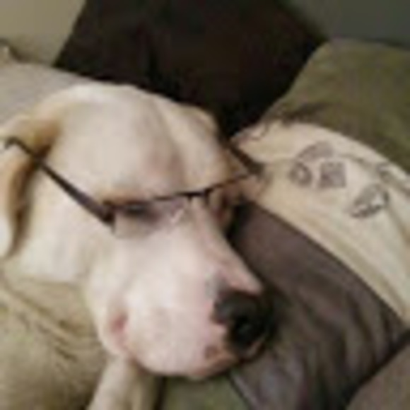 Profile Picture of Dave Hawkins (@davehawkins) on Poshmark