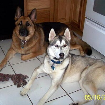Profile Picture of Mark Bruner (@woodtick314) on Twitter