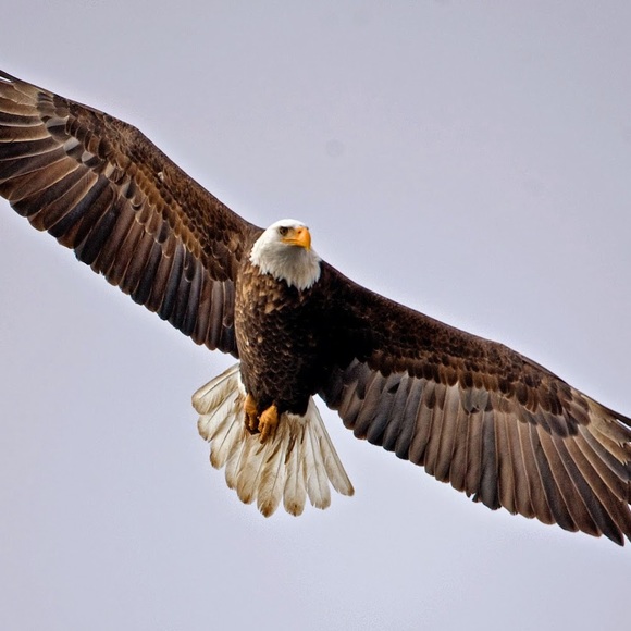 Roni Delligatti - Poshmark Profile Picture of Roni Delligatti (@micron5117) on Poshmark