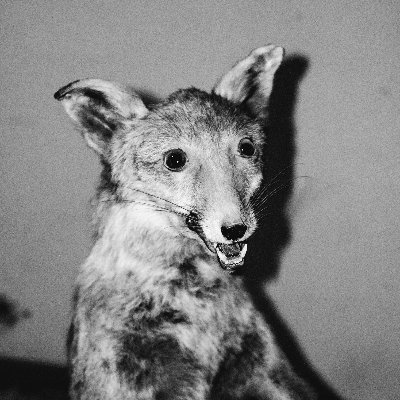 Profile Picture of The Crappydermist (@KohlerIan1) on Twitter