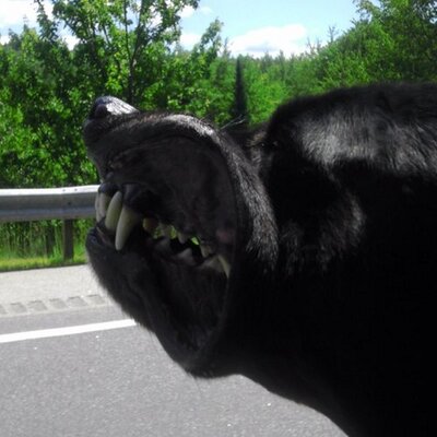 Profile Picture of Joe Raffa (@joeraffa34) on Twitter