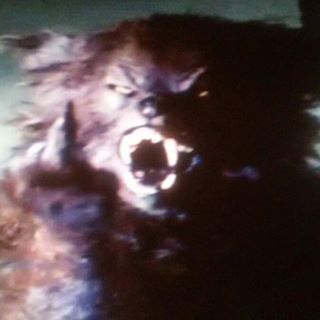 Profile Picture of Lonnie Gammon (@lonnie.gammon.3) on Facebook