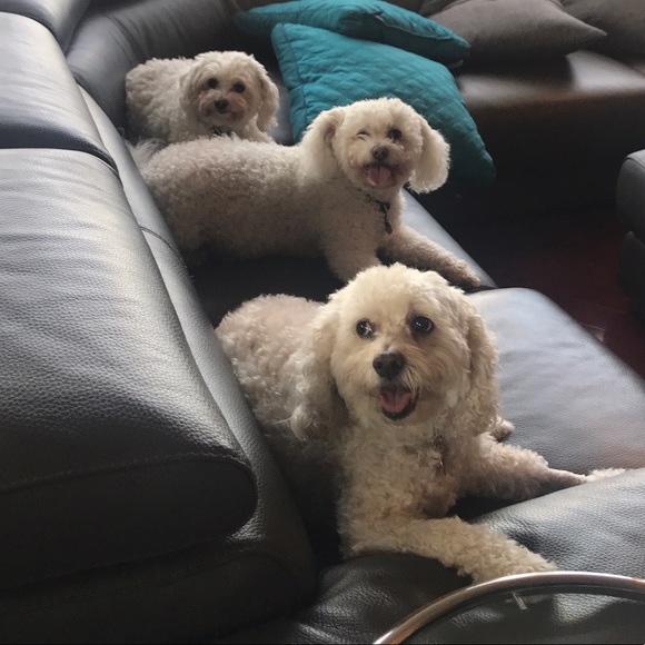 Profile Picture of Regina Shifman (@monjes) on Poshmark