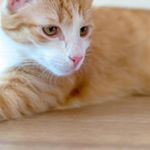 Profile Picture of raina edwards (@rainaedwards71) on Instagram