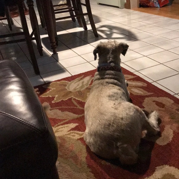 Profile Picture of Mitchell Forbes (@blundify) on Poshmark