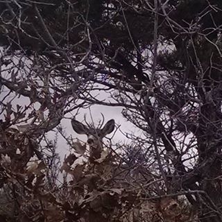 Profile Picture of Erik Peterson (@Erik-Peterson) on Facebook