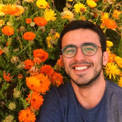 Profile Picture of Ziad Ghantous (@ziadghantousMD) on Twitter