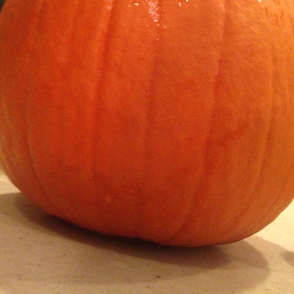 Profile Picture of Steph Jones (@sajonesey) on Poshmark