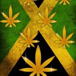 Profile Picture of David DesRochers (@potguy420) on Instagram