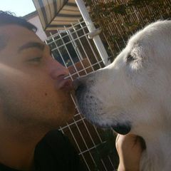 Profile Picture of Guillermo Mantilla (@guillermo.mantill0) on Tiktok