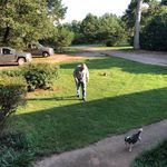 Profile Picture of Joyce Butts (@butts8542) on Instagram