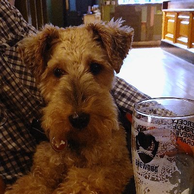 Profile Picture of Ian Manson (@mansonio) on Twitter