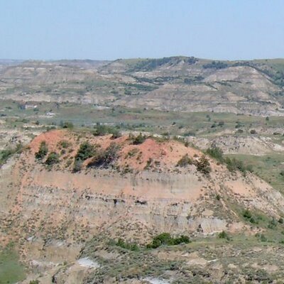 Profile Picture of Carol Schroeder (@ndakotagrl) on Twitter